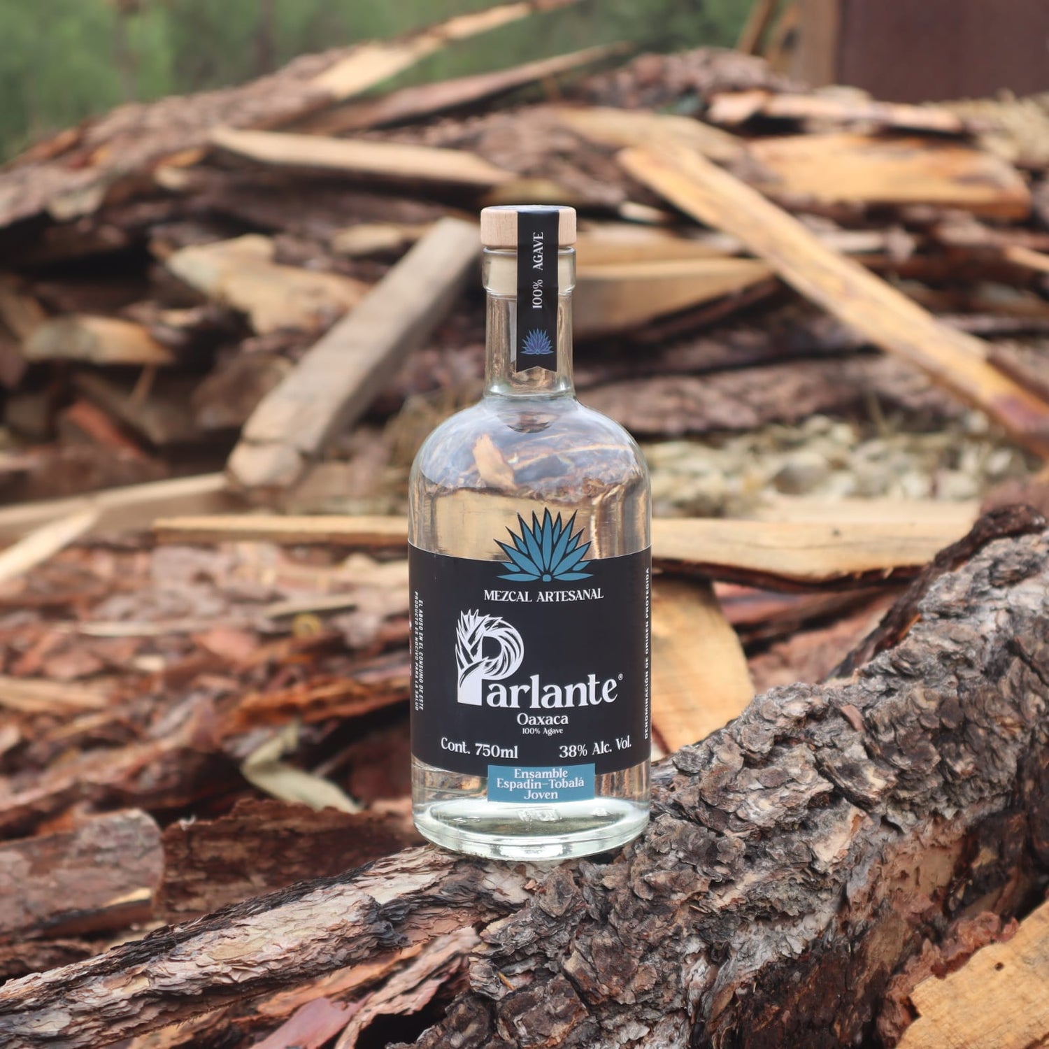 Parlante  Joven  Espadín  Ensamble  38°  Oaxaca  Coctelería  Mixología  Suave  Frutal