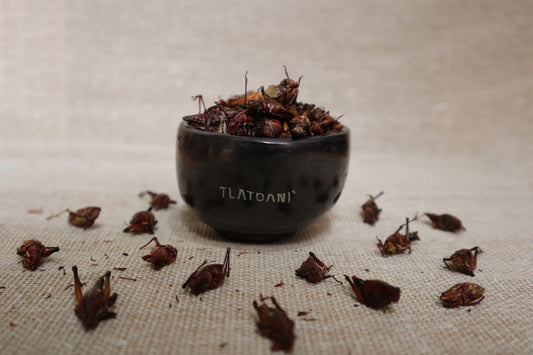 Chapulines Tlatoani sobre manta artesanal con recipiente de barro decorativo