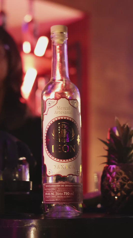 Cata Privada de Mezcal Artesanal
