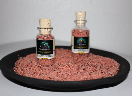 Frascos pequeños de sal gourmet Tlatoani de hormiga chicatana, colocados sobre una base de sal color rojiza con trozos visibles de hormiga.